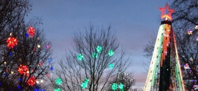 OVB tree at gallipolis in lights